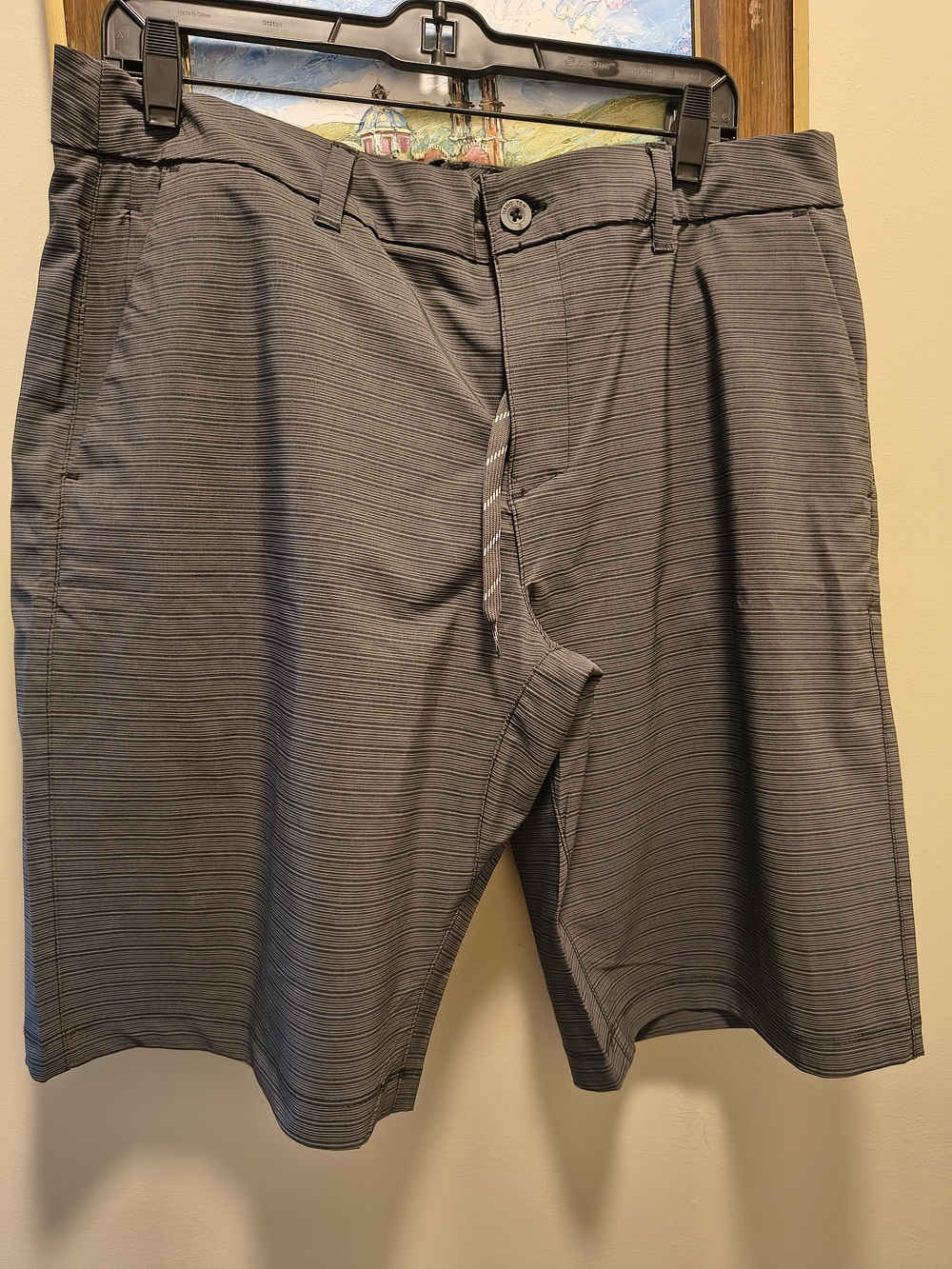 Hang Ten Men's Charcoal Micro-Stripe Flat Front Shorts Size 36